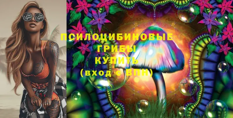 даркнет сайт  shop как зайти  Псилоцибиновые грибы Magic Shrooms  Уржум 